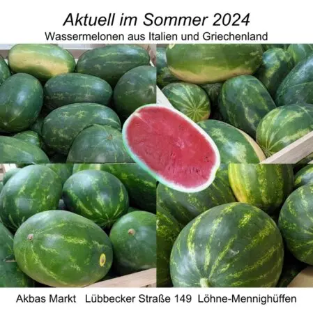 Wassermelonen 2024